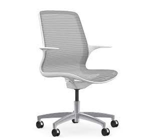 Meeting Chair
