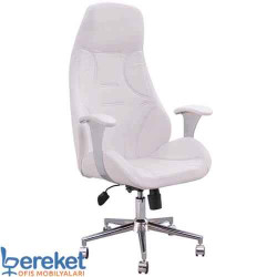 Done Ofis Makam Koltuğu