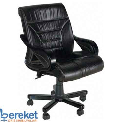 Eser Yönetici Çalışma Koltukları