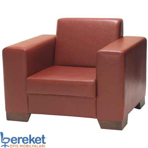 Karen Tekli Ucuz Koltuk