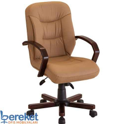 Lion Makam Çalışma Koltukları