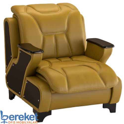 Mega Ofis Tekli Kanepeleri