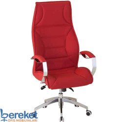 Rio Ofis Makam Koltuğu