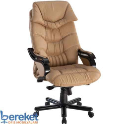Vip Ofis Makam Koltuğu