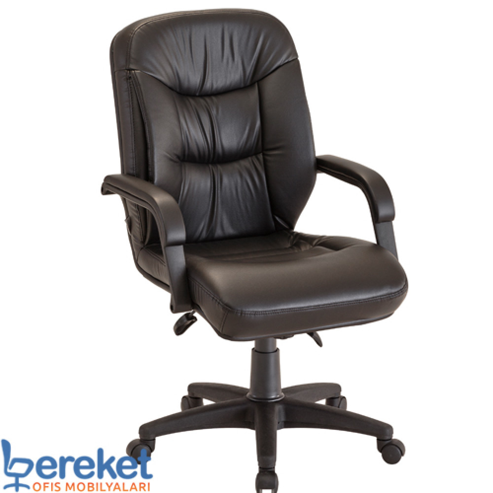 Anıl Yönetici Çalışma Koltuğu