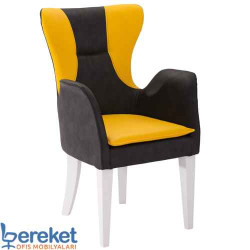 Asel Bekleme Koltuğu Asel Bekleme Koltuğu