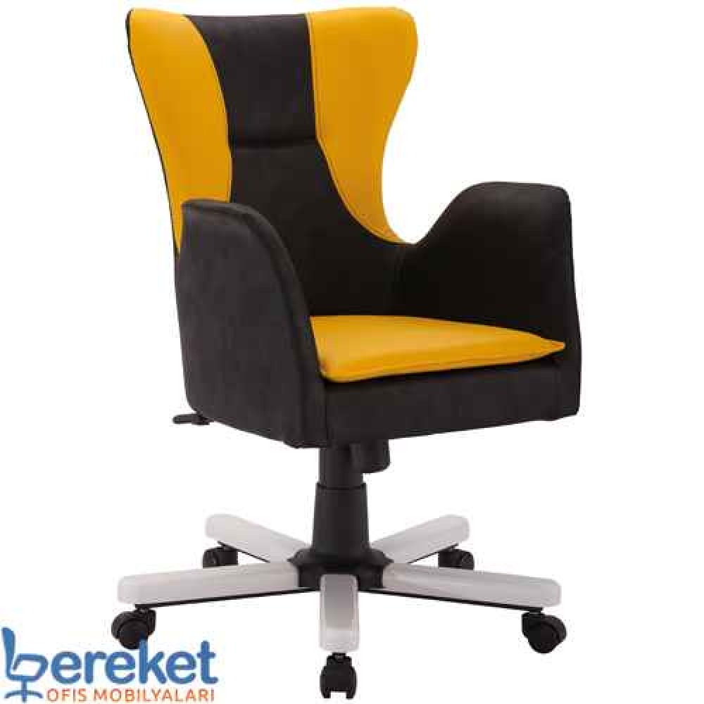 Asel Ofis Çalışma Koltuğu Asel Ofis Çalışma Koltuğu