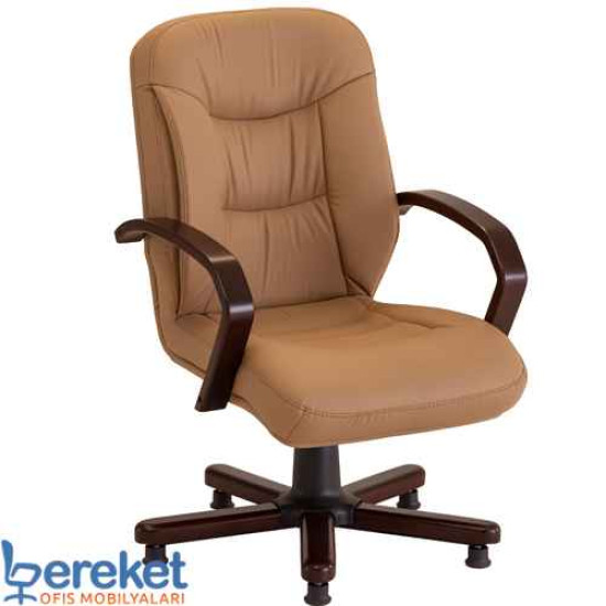 Lion Misafir Bekleme Koltukları